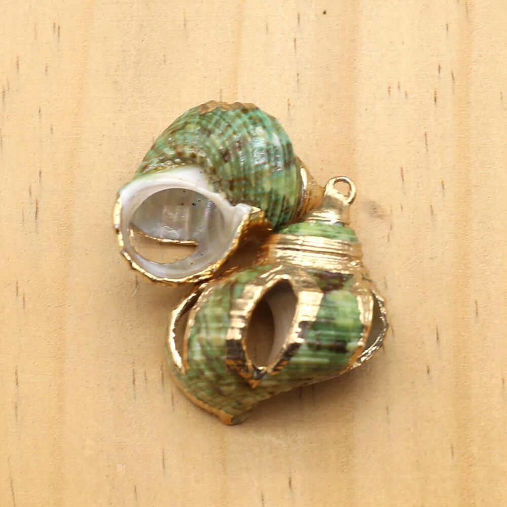 8848 20pcs Natural Pendants - Spiral, Conch, Cowrie, Sea Shells Charms - Picture 3 of 7